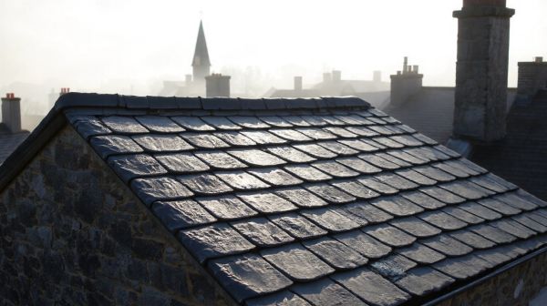 Top 5 raisons d'opter pour un nettoyage de toiture à Lorient