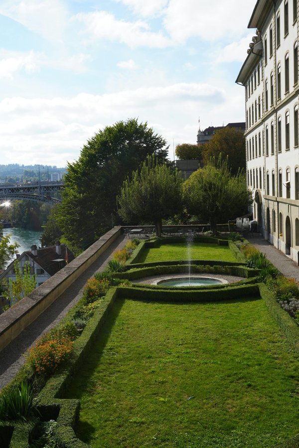 Entretien d'espaces verts à champigny : vos jardins en pleine forme